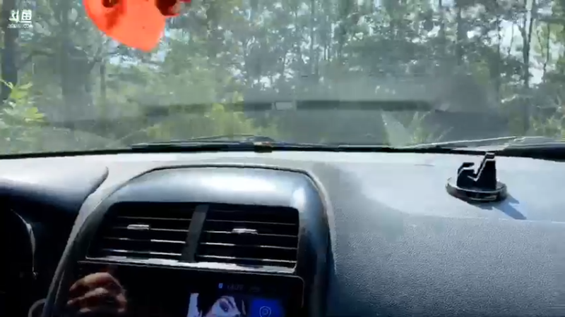 【2021-08-29 14点场】魅力生活i：今天找枞菌