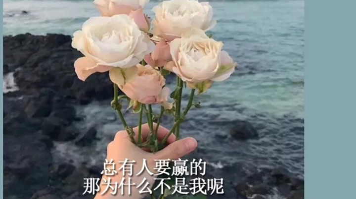 浪逼队友