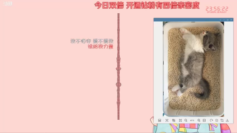 【2021-08-28 23点场】Kumua丶OvO：Kumua❤️周六全天双倍亲密度~
