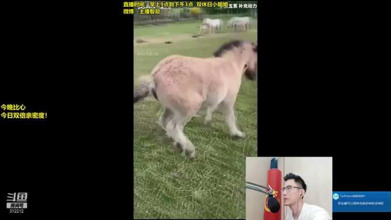 【2021-08-29 10点场】智勋勋勋勋：智勋：峡谷之巅修炼！