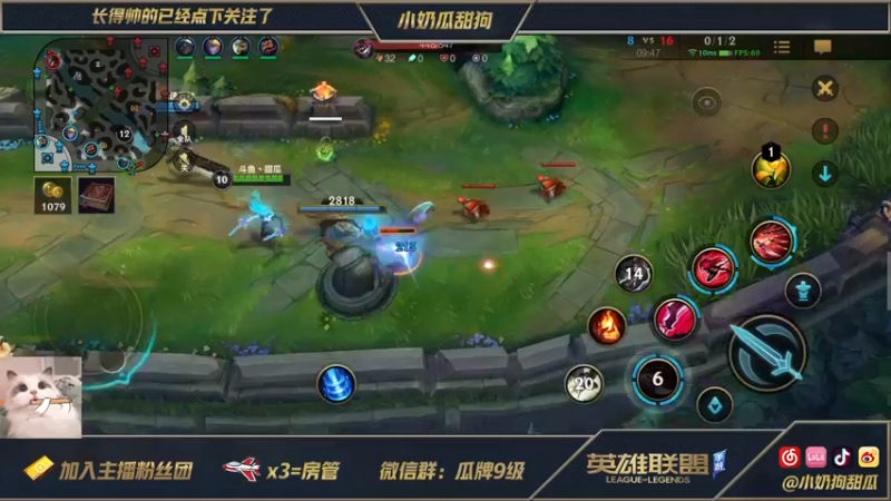【2021-08-30 23点场】小奶狗甜瓜：甜瓜：让我玩会儿中路好嘛