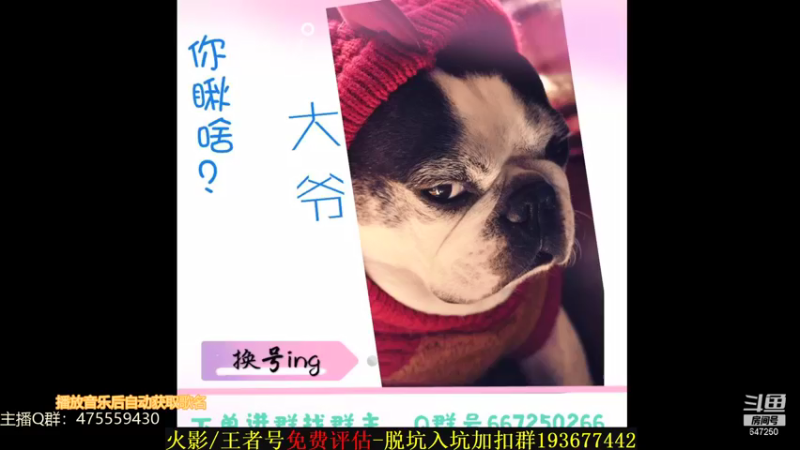 【2021-08-29 23点场】小马锅马杰：马锅：月底加班啦。