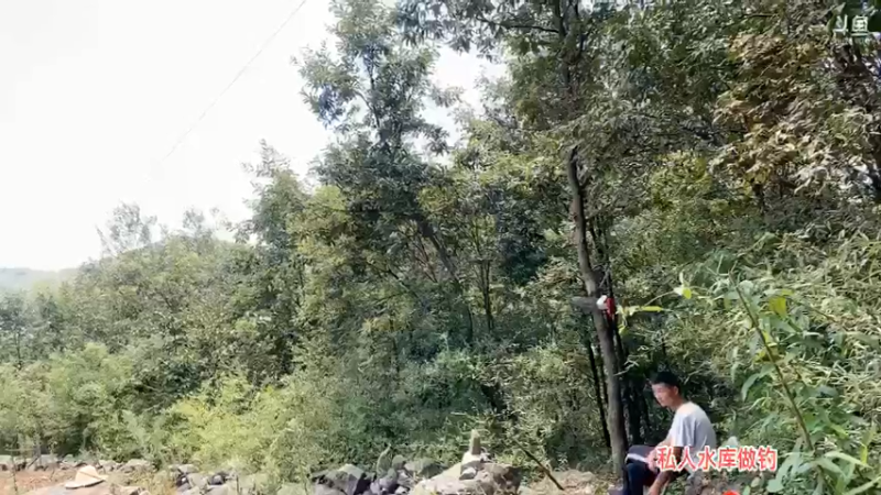 【2021-08-30 11点场】魅力生活i：搞土蜂捡枞菌