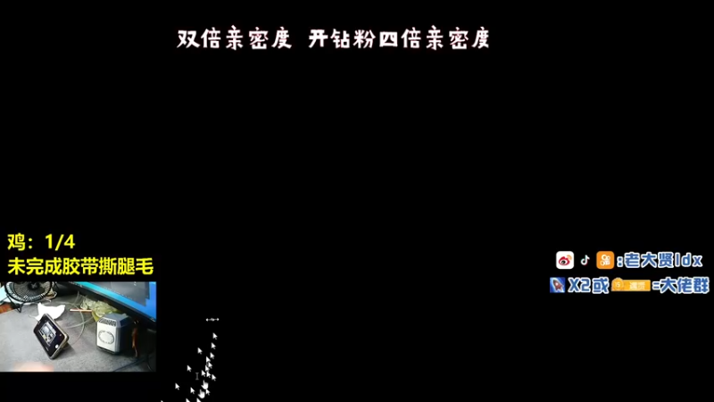 【2021-08-30 19点场】老大贤：王牌1v4：带你看遍海岛上每个小姐姐