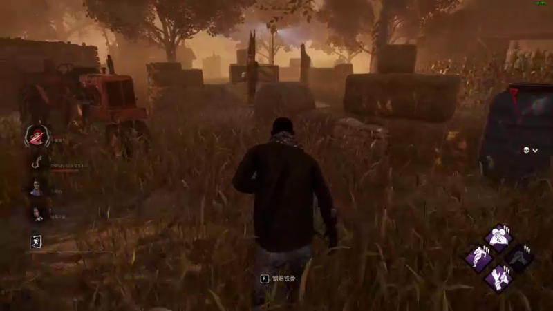 爬进地窖了！