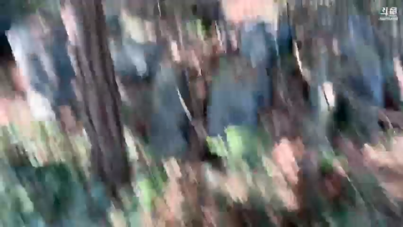 【2021-08-30 09点场】魅力生活i：大家11点见