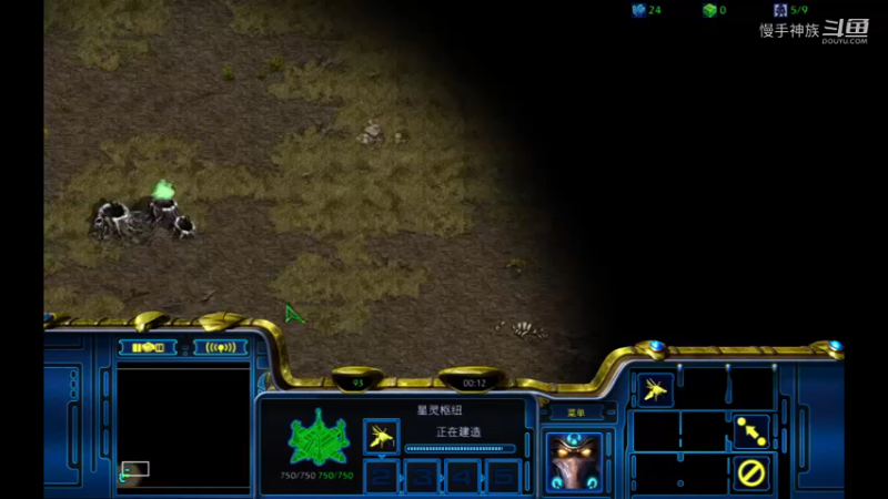 天梯pvt越到猥琐打法，活活饿完人族2021-08-30