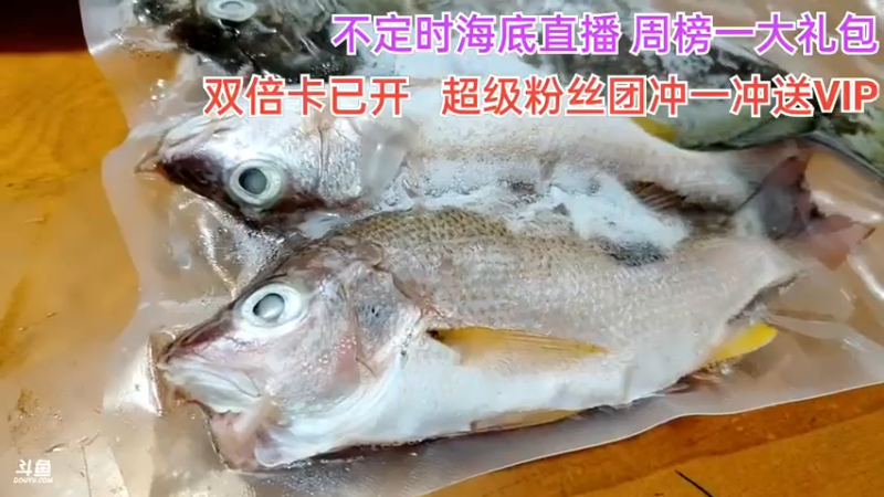 【2021-08-29 23点场】海道丶：超级粉丝团冲一冲