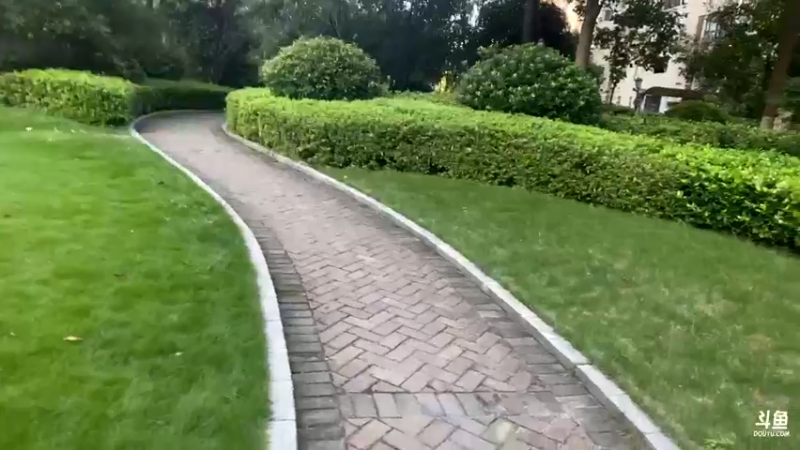 【2021-08-28 17点场】驴酱的冯雨大王：冯雨大王：欢乐时光已经开始了~