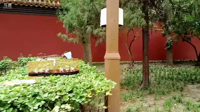 【2021-08-30 14点场】o北京老王o：多尔衮。。。。