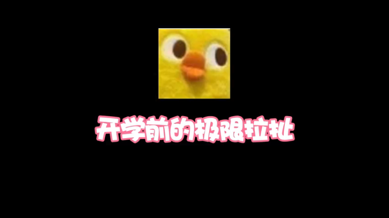 人的潜力都是逼出来的，比如我就曾经一晚上干了一暑假的作业。
