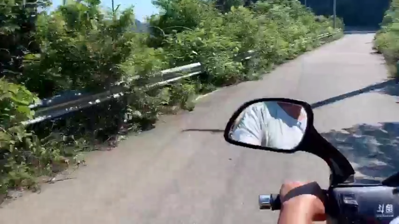 【2021-08-31 09点场】魅力生活i：上山捡枞菌