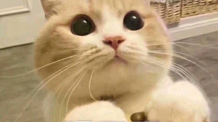 ～