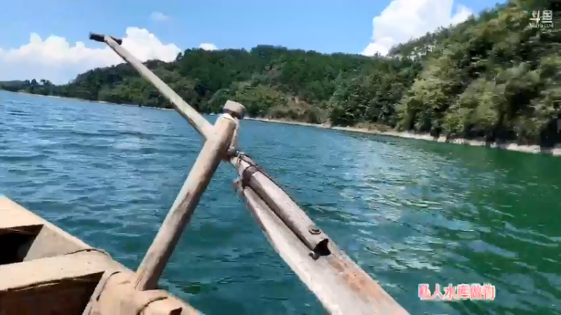 【2021-08-31 12点场】魅力生活i：上山捡枞菌