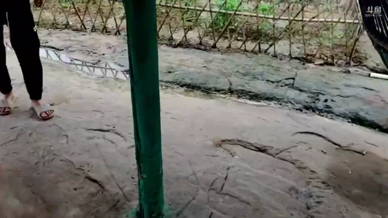 【2021-08-31 10点场】川味箩卜：上午11点直播