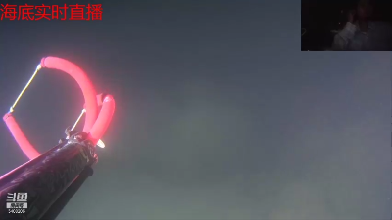 【2021-08-31 21点场】海道丶：今晚八点半海底干巨物