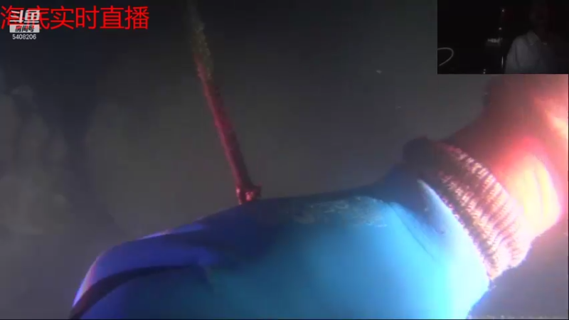 【2021-08-31 23点场】海道丶：今晚八点半海底干巨物