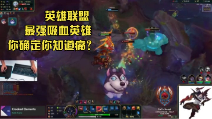 英雄联盟 最强吸血英雄  你确定你知道痛？