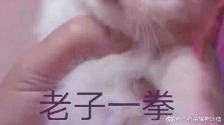 日常翻车