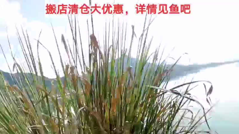 【2021-08-31 15点场】中华户外钓鱼：TB活动开始啦