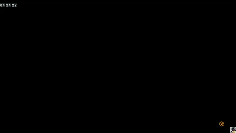 【2021-09-01 04点场】小熊来啦：ʕ •ɷ•ʔฅ