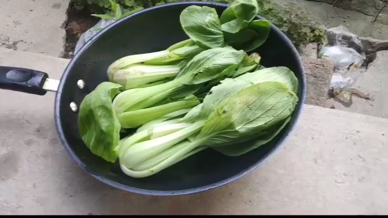 【2021-08-28 01点场】史维佳：刚刚开始了