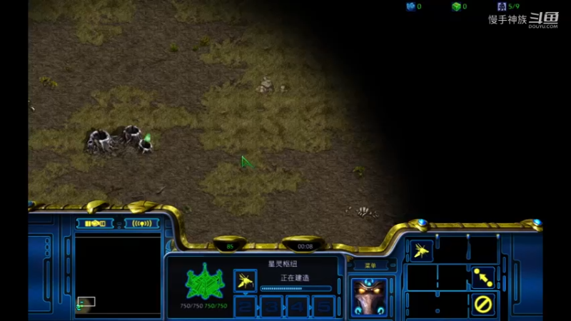 天梯pvz奇葩打法2021-09-01 14-03-53