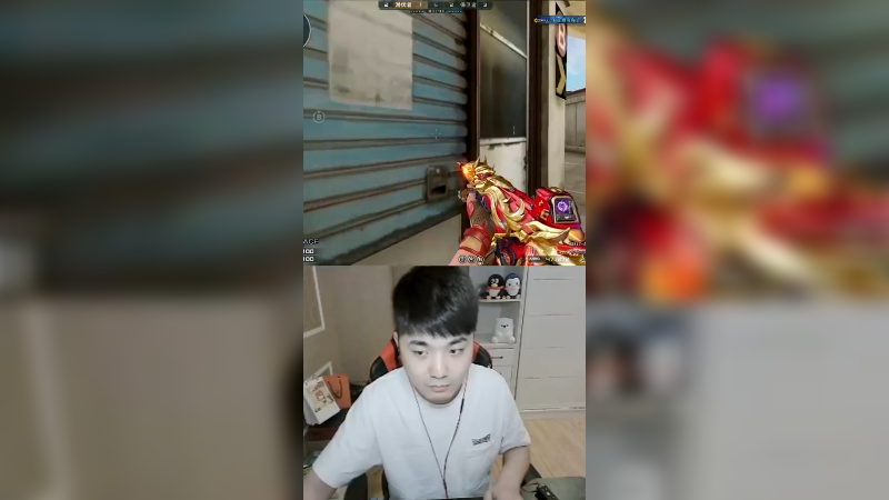 这波鲨爽了！