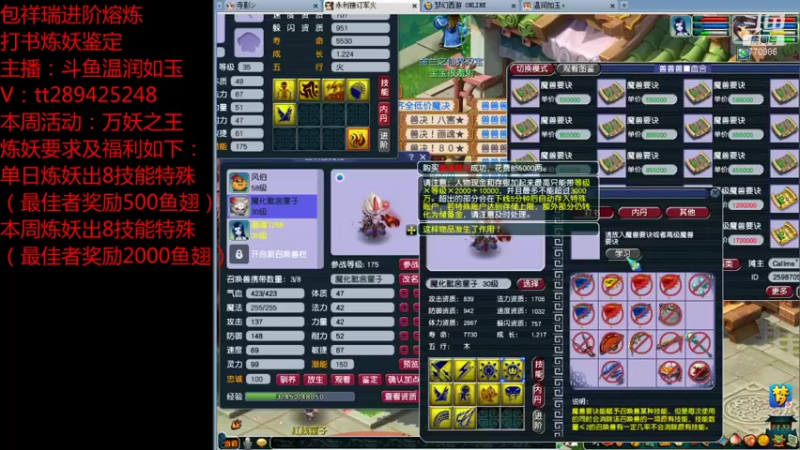 【2021-08-31 03点场】梦幻你波哥：打书炼妖进阶熔炼鉴定小能手在线了