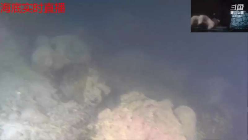 【2021-09-01 20点场】海道丶：今晚八点半海底干巨物
