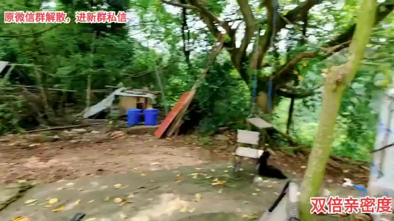 【2021-09-02 13点场】川味箩卜：9月，遇见更好的你！