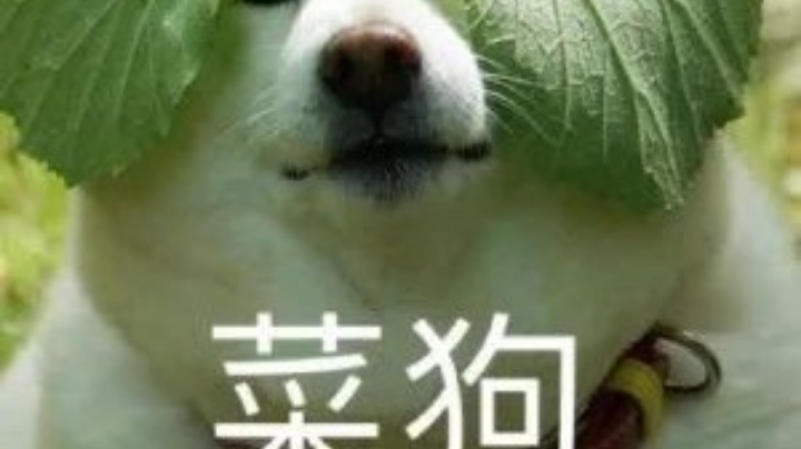 植物大战僵尸