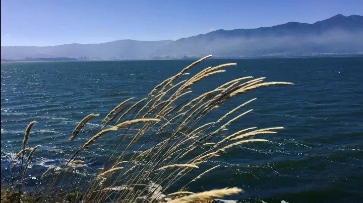 【美丽的洱海】洱海风景骑行实录