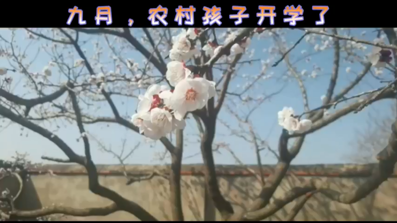 九月，农村孩子开学了！
