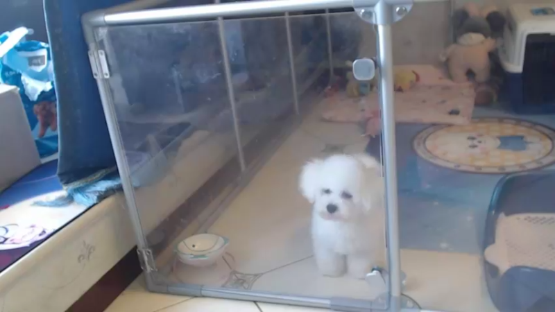 【2021-09-01 18点场】别问问就黑皮：一路走来承蒙厚爱~