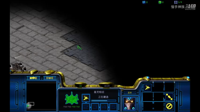 pvz刺蛇一波的虫2021-09-02