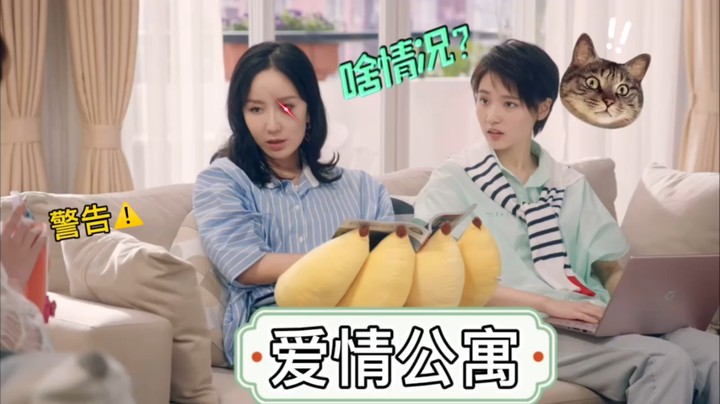 【爱情公寓】299音箱尽如此智能