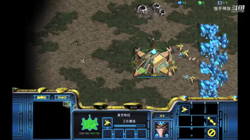 斗魂pvz后期2021-09-02