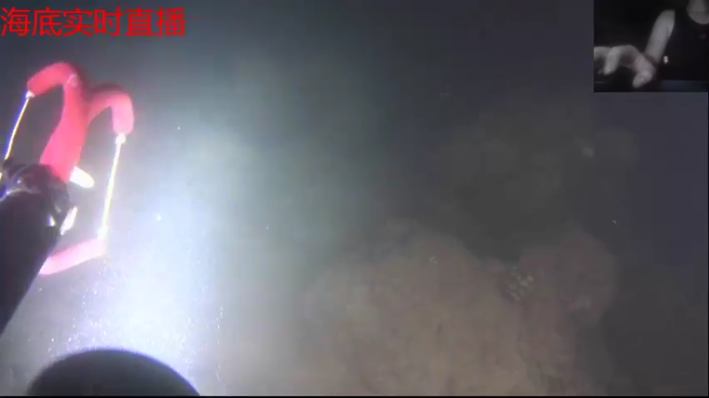 【2021-09-02 20点场】海道丶：今晚八点半海底干巨物