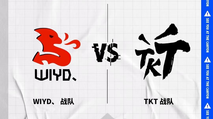 大鱼电竞v2