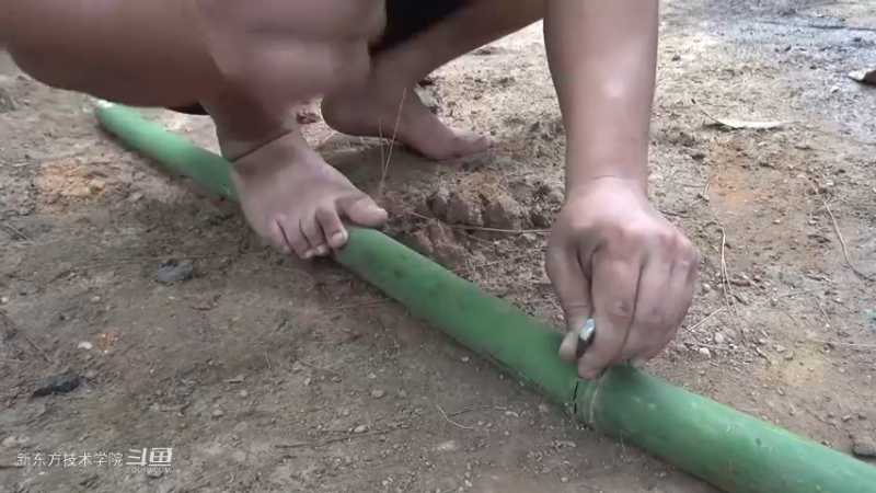 第二季S02P12园林艺术家胖虎10历时3年终于进入铁器时代！