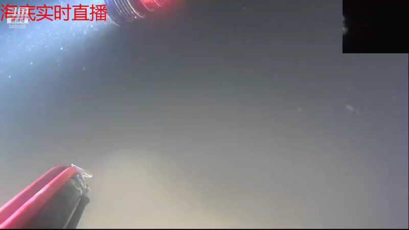 【2021-09-02 22点场】海道丶：今晚八点半海底干巨物