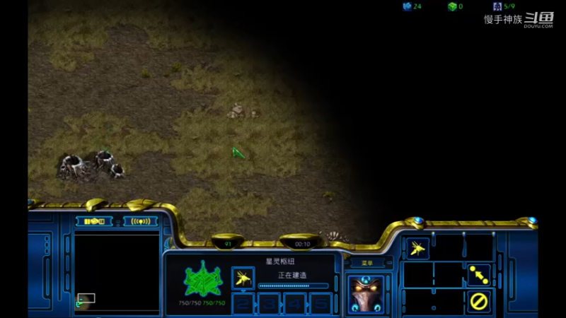 天梯pvz甲虫2021-09-02