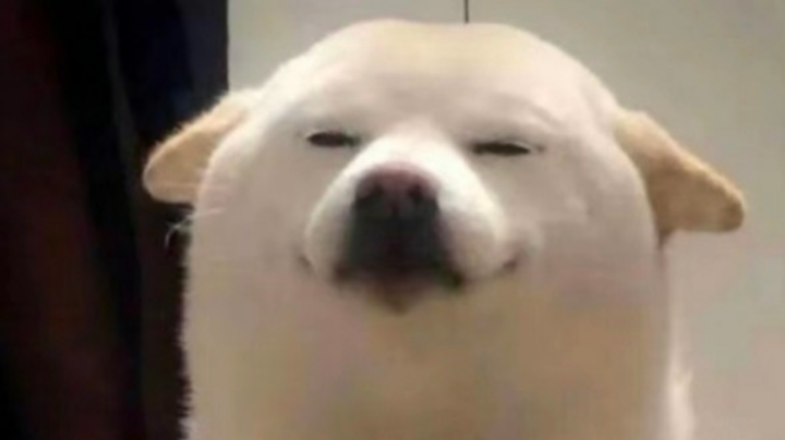 qaq