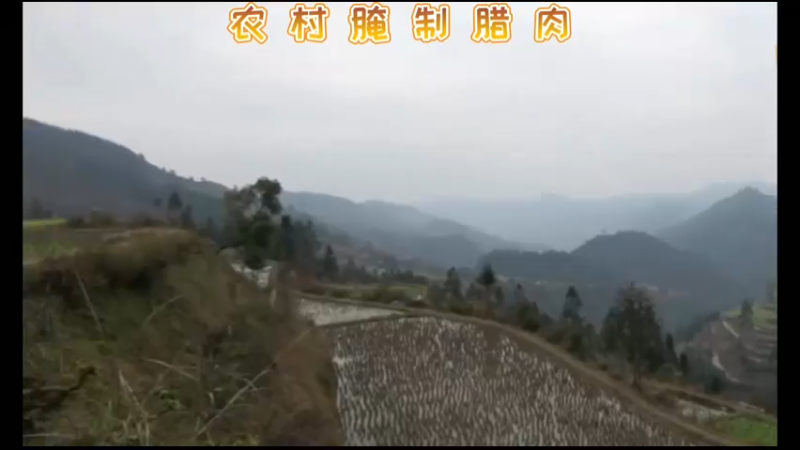 农村腌制腊肉！