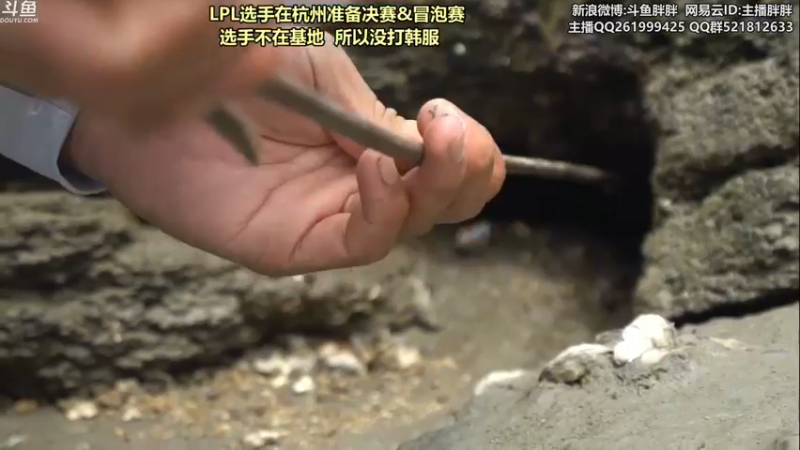 【2021-09-02 03点场】胖胖灬：胖胖OB：韩服 FPX EDG RNG