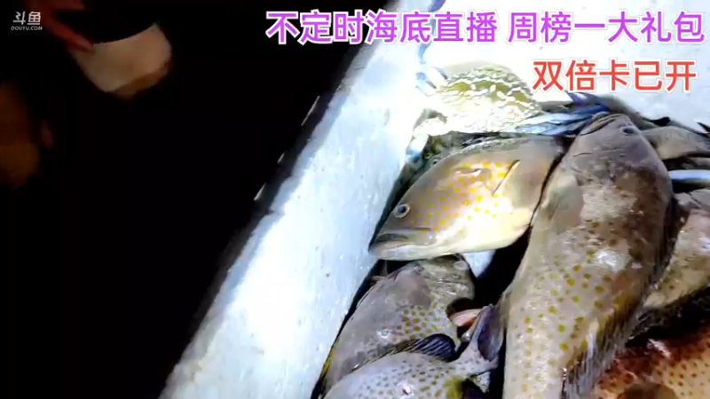 【2021-09-01 23点场】海道丶：今晚八点半海底干巨物