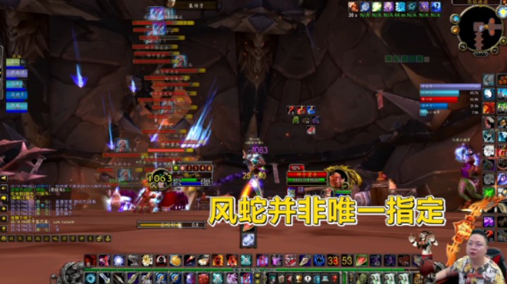 魔兽TBC怀旧服：猎人拉怪必用风蛇？看看猫科在破碎的英姿！