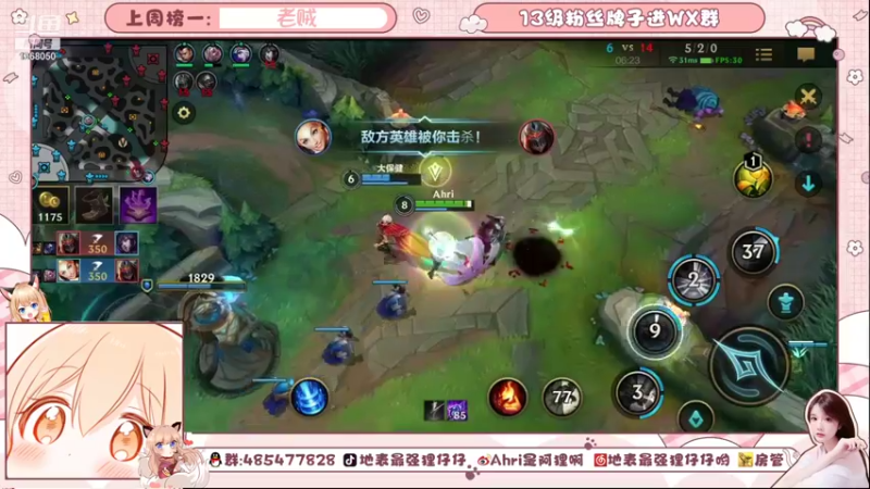 【2021-09-02 18点场】地表最强狸仔仔哟：九月一定是幸运的呐！