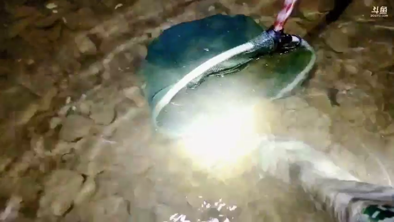 【2021-09-03 19点场】魅力生活i：山沟沟里抓河虾